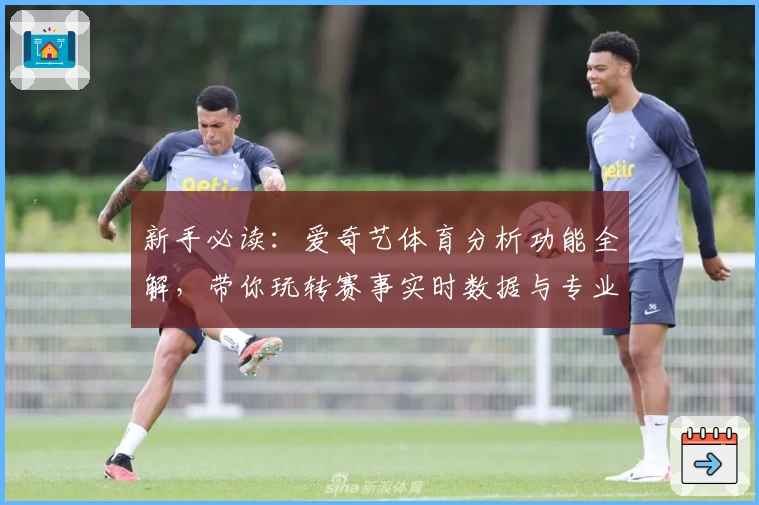 新手必读：爱奇艺体育分析功能全解，带你玩转赛事实时数据与专业解读