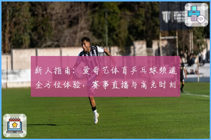 新人指南：爱奇艺体育乒乓球频道全方位体验，赛事直播与高光时刻一网打尽